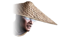 fg_head_raiden