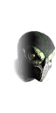fg_head_reptile_lr