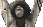 81