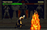 Fatality