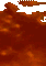 0000