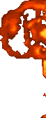 0364