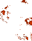 0366