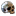 skull_lr